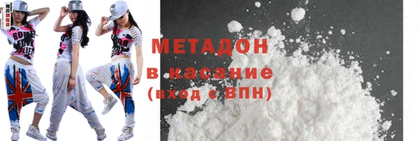 прущие грибы Горняк