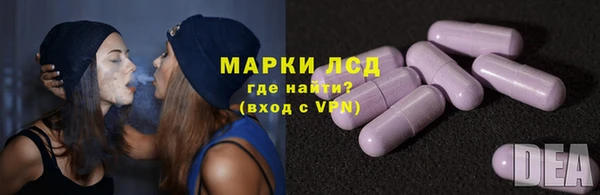 ГАЛЛЮЦИНОГЕННЫЕ ГРИБЫ Вяземский