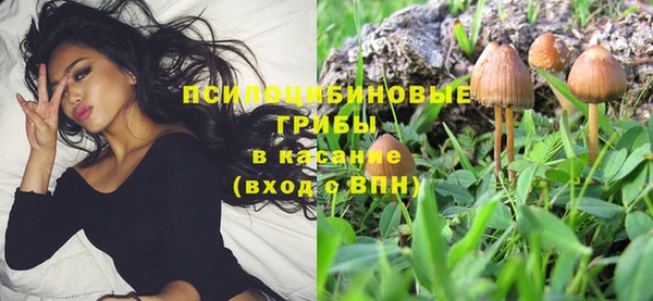 a pvp Вязьма