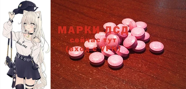 ГАЛЛЮЦИНОГЕННЫЕ ГРИБЫ Вяземский