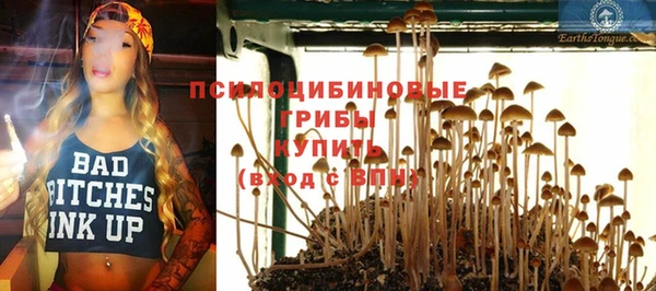 a pvp Вязьма