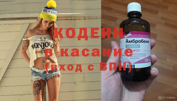ГАЛЛЮЦИНОГЕННЫЕ ГРИБЫ Вяземский