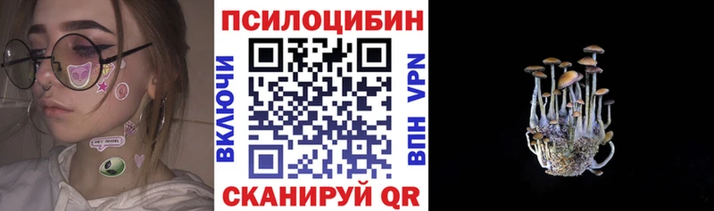 Купить где  Лиски  Галлюциногенные грибы Psilocybe 